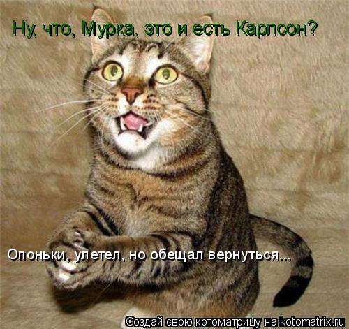 Ну, что, Мурка, это и есть Карлсон? Опоньки, улетел, но обещал вернуться...... Котоматрица: Ну, что, Мурка, это и есть Карлсон? Опоньки, улетел, но обещал вернуться...