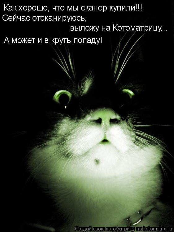 Как хорошо, что мы сканер купили!!! Сейчас отсканируюсь, выложу на Котоматрицу... А может и в круть ... Котоматрица: Как хорошо, что мы сканер купили!!! Сейчас отсканируюсь, выложу на Котоматрицу... А может и в круть попаду!