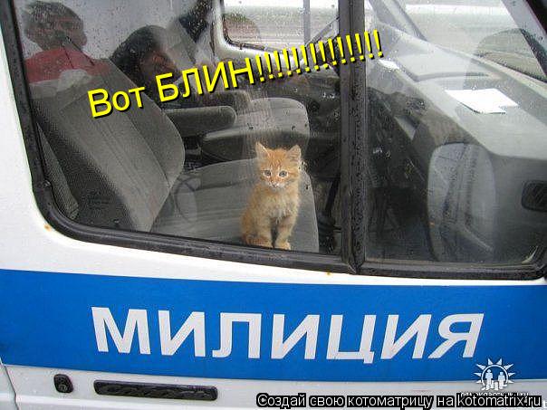 Вот БЛИН!!!!!!!!!!!!!!... Котоматрица: Вот БЛИН!!!!!!!!!!!!!!