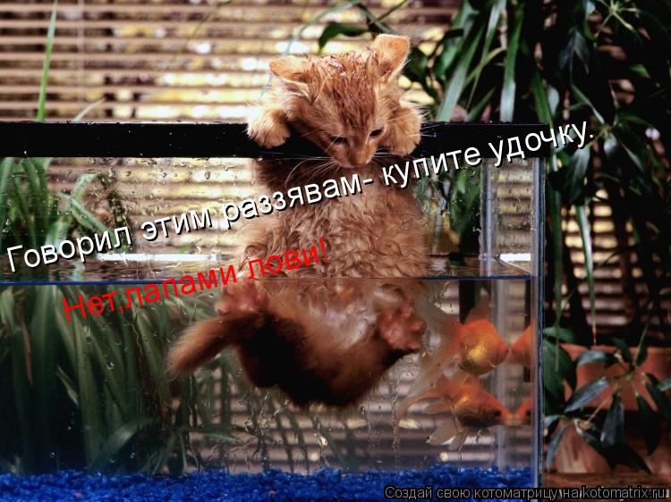 Говорил этим раззявам- купите удочку. Нет,лапами лови!... Котоматрица: Говорил этим раззявам- купите удочку. Нет,лапами лови!