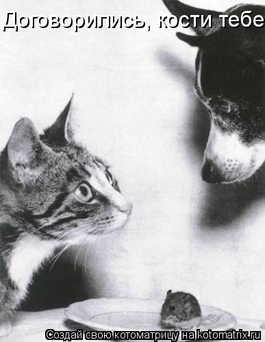 Договорились, кости тебе.... Котоматрица: Договорились, кости тебе.