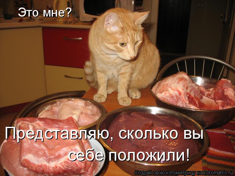 Это мне? Представляю, сколько вы себе положили!... Котоматрица: Это мне? Представляю, сколько вы себе положили!