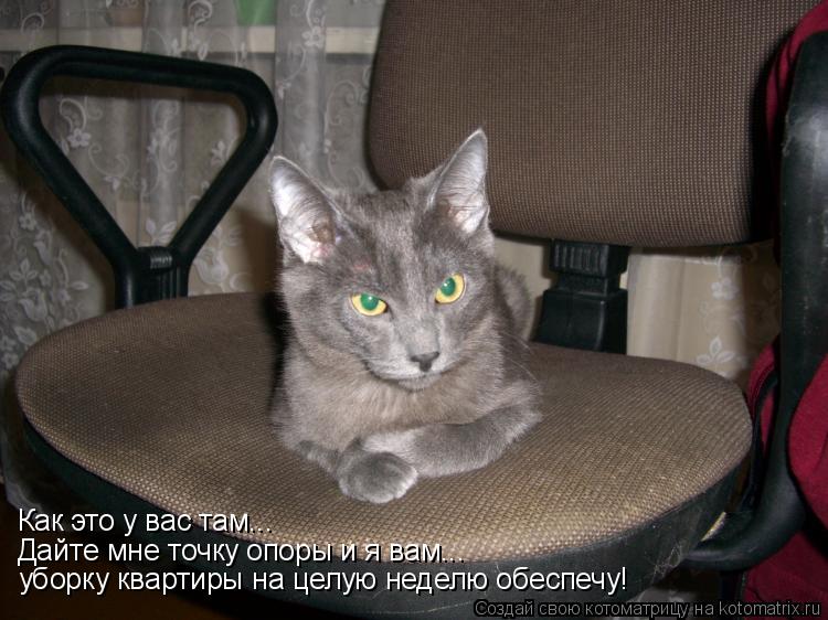 Как это у вас там... Дайте мне точку опоры и я вам... уборку квартиры на целую неделю обеспечу!... Котоматрица: Как это у вас там... Дайте мне точку опоры и я вам... уборку квартиры на целую неделю обеспечу!