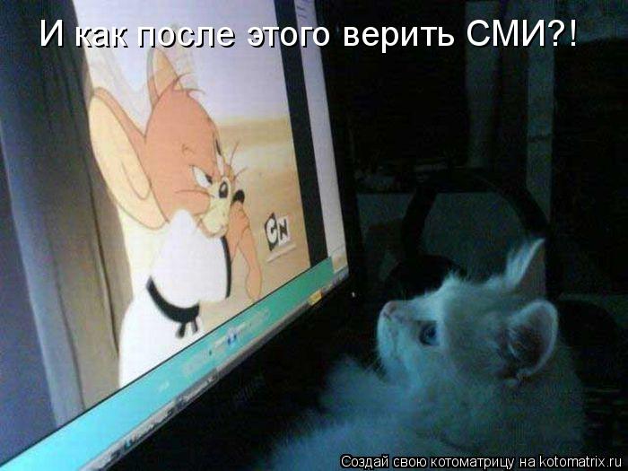 И как после этого верить СМИ?!... Котоматрица: И как после этого верить СМИ?!