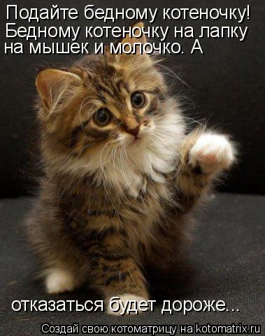 Подайте бедному котеночку! Бедному котеночку на лапку на мышек и молочко. А отказаться будет дороже..... Котоматрица: Подайте бедному котеночку! Бедному котеночку на лапку на мышек и молочко. А отказаться будет дороже...