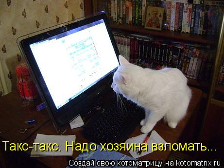 Такс-такс. Надо хозяина взломать...... Котоматрица: Такс-такс. Надо хозяина взломать...