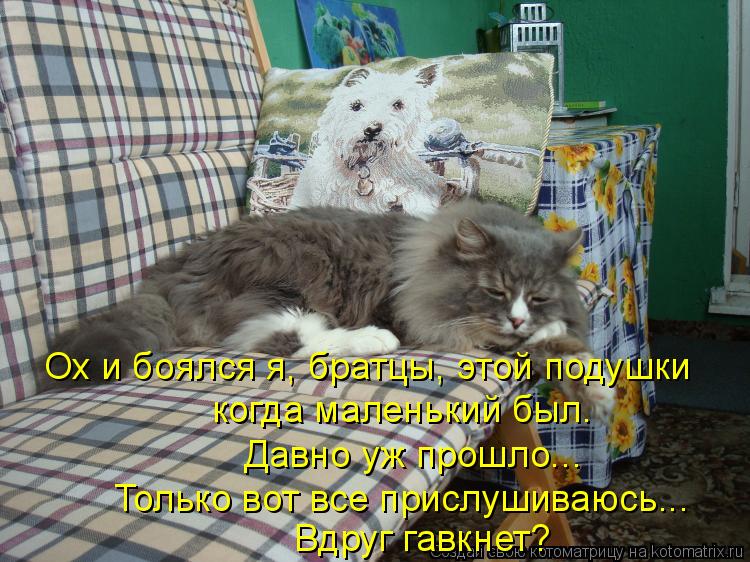 Котоматрица: Ох и боялся я, братцы, этой подушки когда маленький был. Давно уж прошло... Только вот все прислушиваюсь... Вдруг гавкнет?