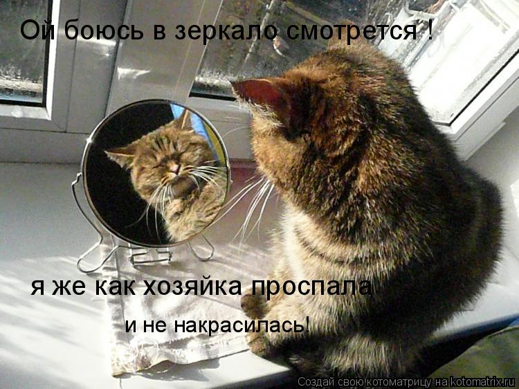 Котоматрица: Ой боюсь в зеркало смотрется ! я же как хозяйка проспала и не накрасилась!