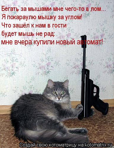 Бегать за мышами мне чего-то в лом….. Я покараулю мышку за углом! Что зашёл к нам в гости будет мышь... Котоматрица: Бегать за мышами мне чего-то в лом….. Я покараулю мышку за углом! Что зашёл к нам в гости будет мышь не рад: мне вчера купили новый автомат!