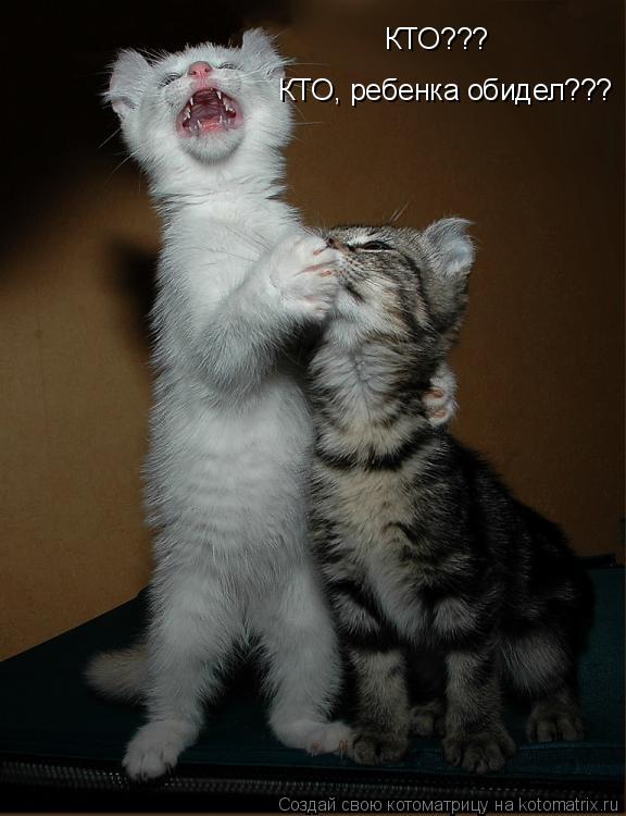 Котоматрица: КТО???  КТО, ребенка обидел???