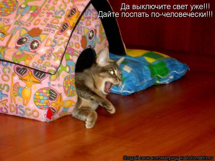 Котоматрица: Да выключите свет уже!!! Дайте поспать по-человечески!!!