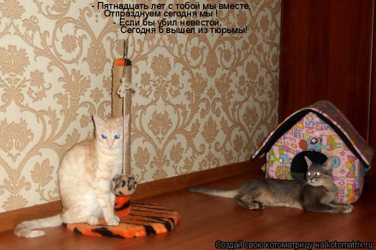 Котоматрица: - Пятнадцать лет с тобой мы вместе,  Отпразднуем сегодня мы !  - Если бы убил невестой,  Сегодня б вышел из тюрьмы!