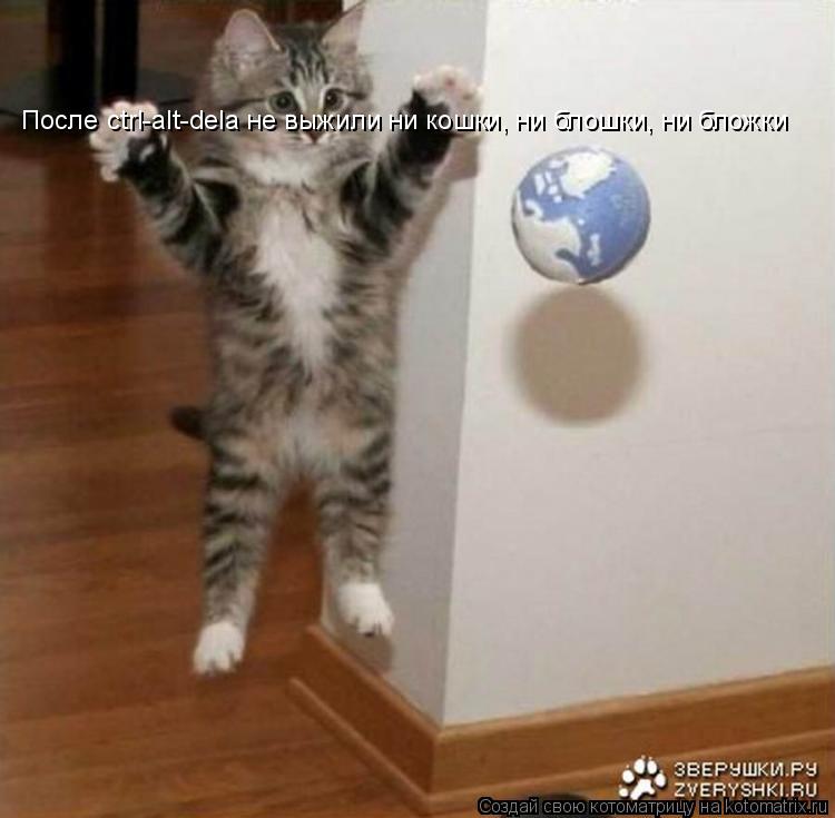Котоматрица: После ctrl-alt-dela не выжили ни кошки, ни блошки, ни бложки