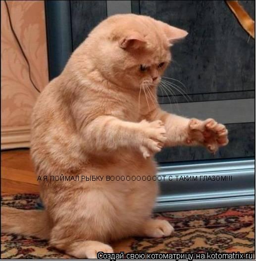 Котоматрица: А Я ПОЙМАЛ РЫБКУ ВООООООООООТ С ТАКИМ ГЛАЗОМ!!!
