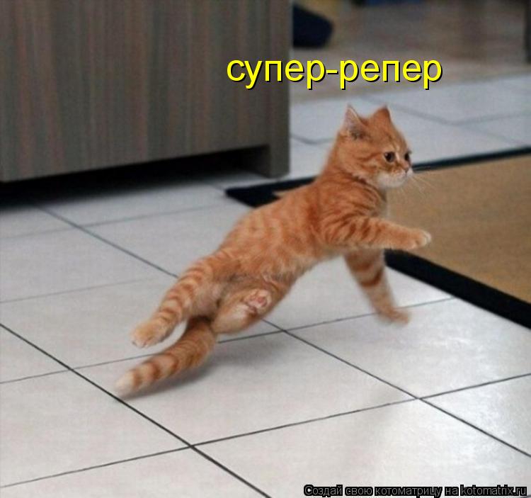 Котоматрица: супер-репер