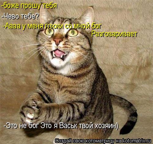 Котоматрица: -боже прошу тебя -Чево тебе? -Аааа у меня глюки со мной бог  Разговаривает -Это не бог Это я Васьк твой хозяин)