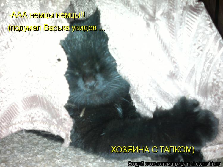 Котоматрица: -ААА немцы немцы!! (подумал Васька увидев ... ХОЗЯИНА С ТАПКОМ)
