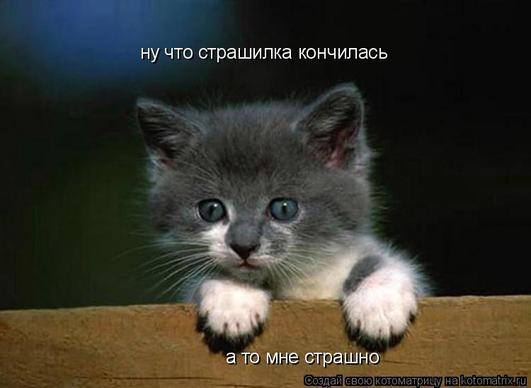 Котоматрица: ну что страшилка кончилась а то мне страшно