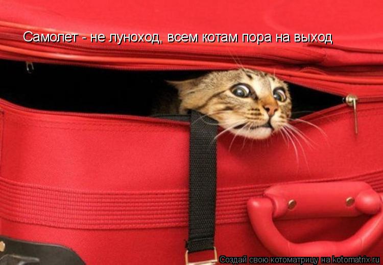 Котоматрица: Самолет - не луноход, всем котам пора на выход