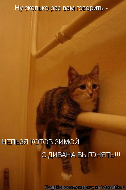 Котоматрица: Ну сколько раз вам говорить - НЕЛЬЗЯ КОТОВ ЗИМОЙ  С ДИВАНА ВЫГОНЯТЬ!!!