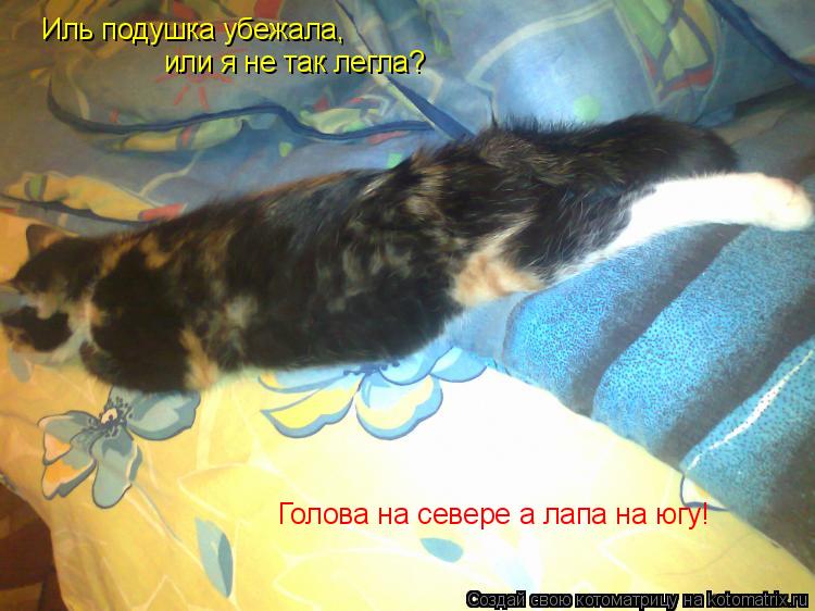 Котоматрица: Иль подушка убежала, или я не так легла? Голова на севере а лапа на югу!