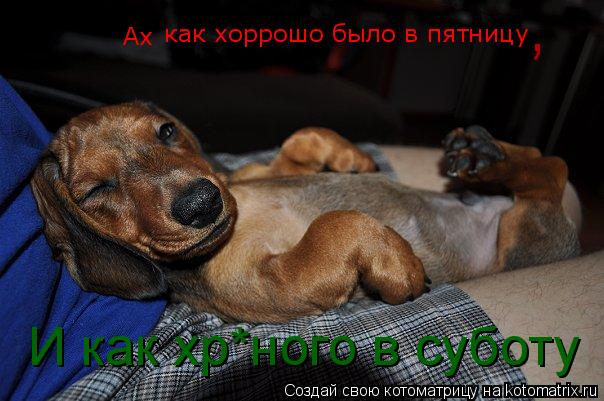 Котоматрица: Ах как хоррошо было в пятницу , И как хр*ного в суботу