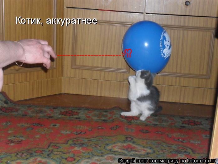 Котоматрица: -----------------------> = 3 Котик, аккуратнее