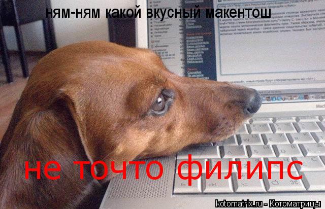 Котоматрица: ням-ням какой вкусный макентош  не точто филипс