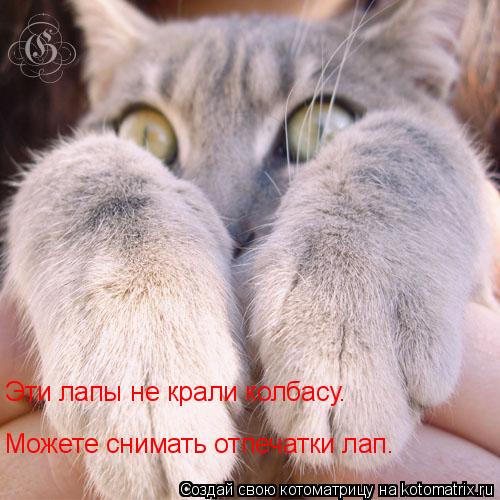 Котоматрица: Эти лапы не крали колбасу. Можете снимать отпечатки лап.