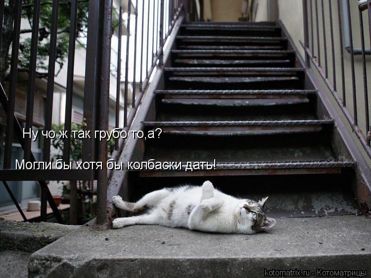 Котоматрица: Ну чо ж так грубо то,а? Могли бы хотя бы колбаски дать!