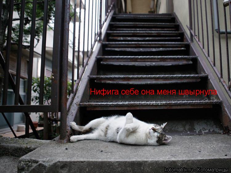 Котоматрица: Нифига себе она меня швырнула