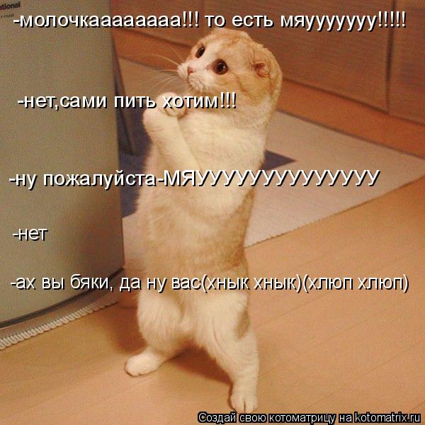 Котоматрица: -молочкаааааааа!!! то есть мяууууууу!!!!! -нет,сами пить хотим!!! -нет -ну пожалуйста-МЯУУУУУУУУУУУУУУ -ах вы бяки, да ну вас(хнык хнык)(хлюп хлюп)
