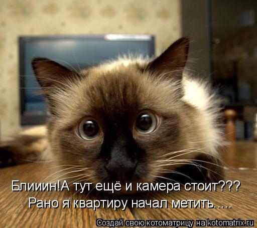 Котоматрица: Блииин!А тут ещё и камера стоит??? Рано я квартиру начал метить.....