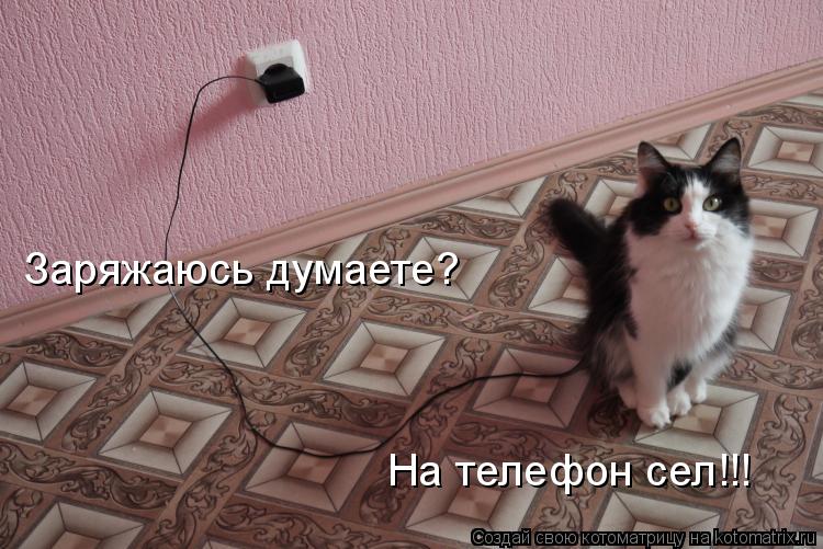 Котоматрица: Заряжаюсь думаете? На телефон сел!!!