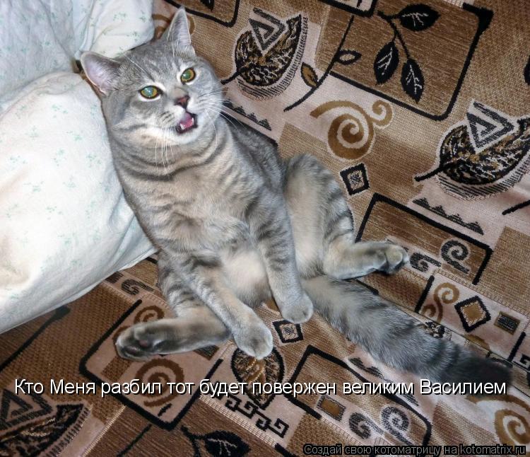 Котоматрица: Кто Меня разбил тот будет повержен великим Василием