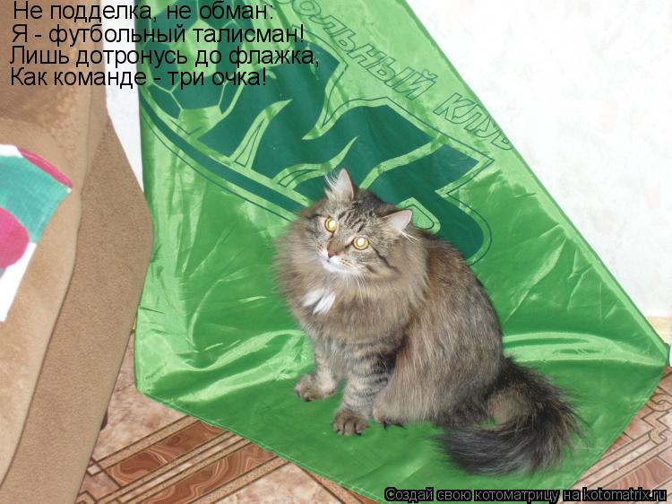 Котоматрица: Не подделка, не обман: Я - футбольный талисман! Лишь дотронусь до флажка, Как команде - три очка!