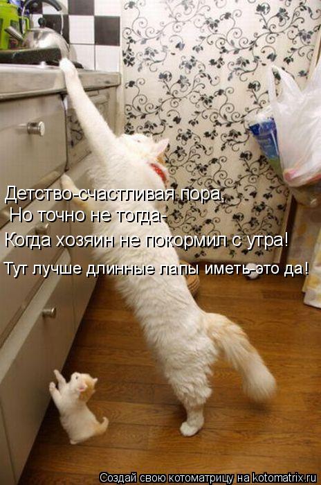 Котоматрица: Детство-счастливая пора, Но точно не тогда- Когда хозяин не покормил с утра! Тут лучше длинные лапы иметь-это да!