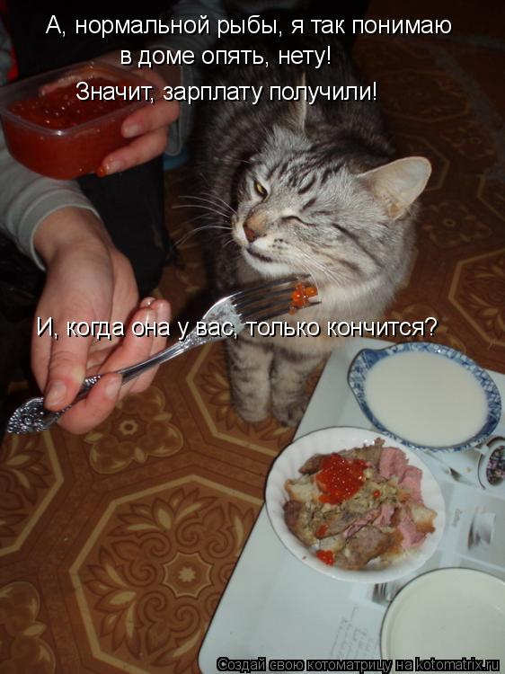 Котоматрица: А, нормальной рыбы, я так понимаю в доме опять, нету! Значит, зарплату получили! И, когда она у вас, только кончится?
