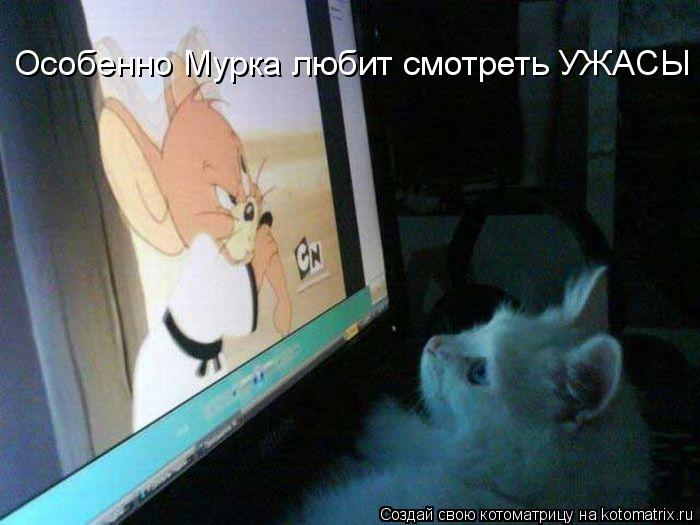 Котоматрица: Особенно Мурка любит смотреть УЖАСЫ