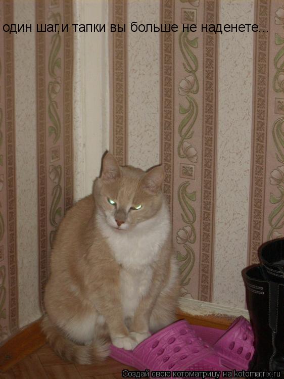 Котоматрица: один шаг,и тапки вы больше не наденете...