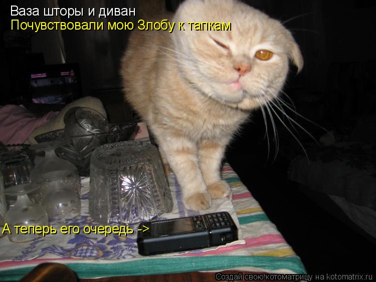 Котоматрица: Ваза шторы и диван Почувствовали мою Злобу к тапкам А теперь его очередь ->
