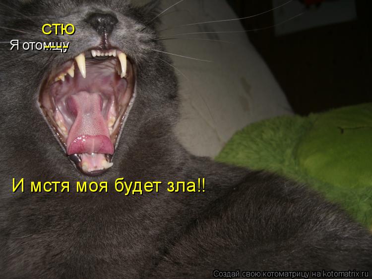 Я отомщу СТЮ ---- И мстя моя будет зла!!... Котоматрица: Я отомщу СТЮ ---- И мстя моя будет зла!!