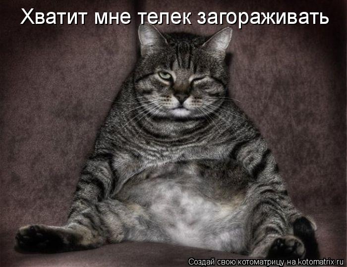 Котоматрица: Хватит мне телек загораживать