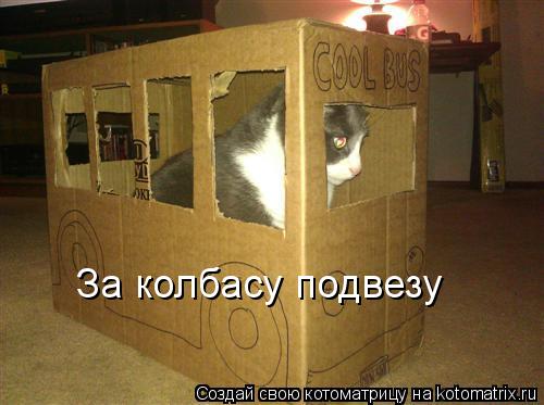 Котоматрица: За колбасу подвезу