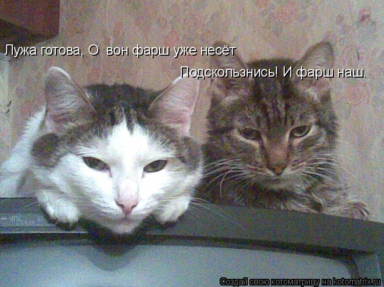 Котоматрица: Лужа готова, О  вон фарш уже несёт Подскользнись! И фарш наш.