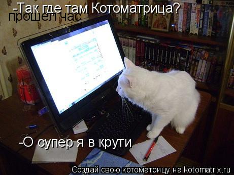 Котоматрица: -Так где там Котоматрица? прошёл час -О супер я в крути
