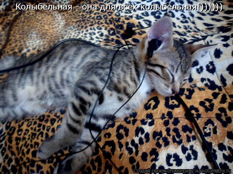 Котоматрица: Колыбельная - она для всех колыбельная!))))))