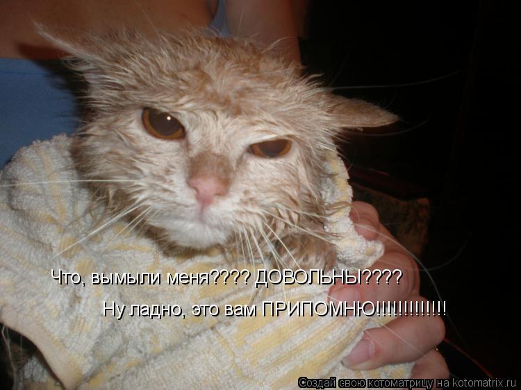 Котоматрица: Что, вымыли меня???? ДОВОЛЬНЫ???? Ну ладно, это вам ПРИПОМНЮ!!!!!!!!!!!!!