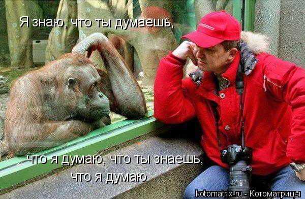 Котоматрица: что я думаю Я знаю, что ты думаешь, что я думаю, что ты знаешь,