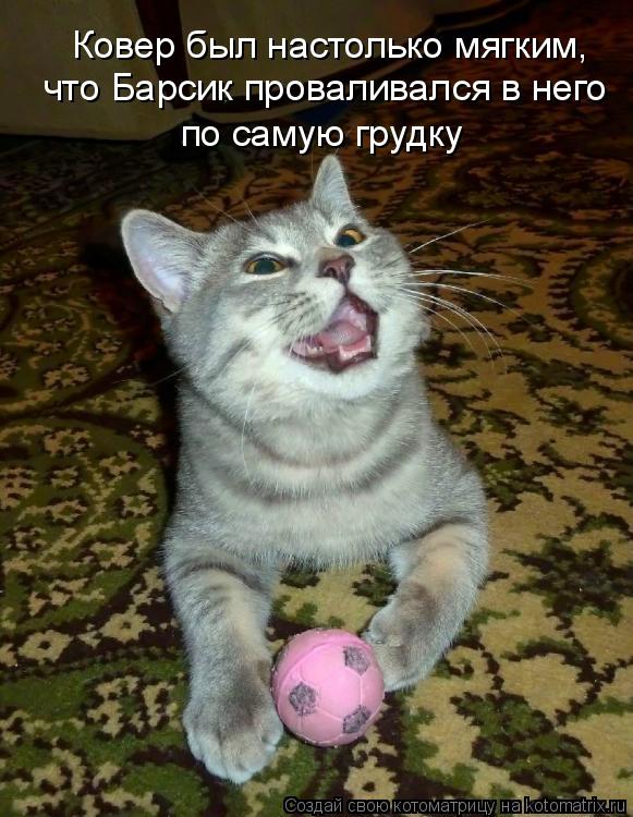 Котоматрица: Ковер был настолько мягким, что Барсик проваливался в него по самую грудку